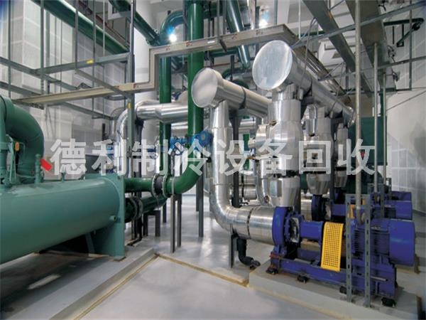 �ӱ��ȷ��廯䇙C(j��)�M���գ��ོ�ݗU�C(j��)�M����